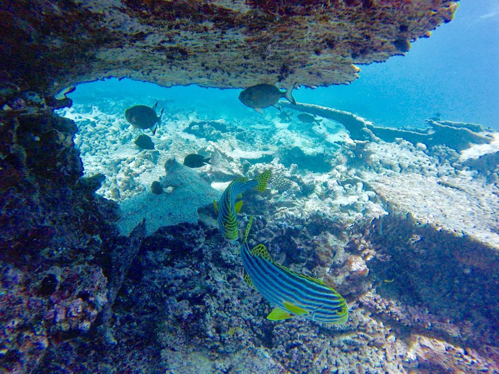Island Home Inn Ukulhas Екстериор снимка